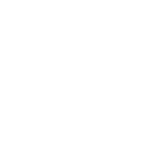 WHOLESALE DELIVERY